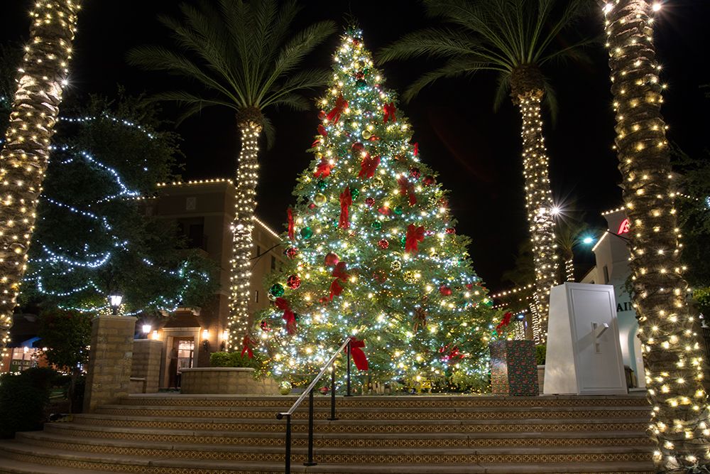 USA-Arizona-Buckeye-Christmas tree in the village square at night